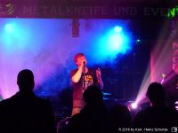Nachtsucher (129)