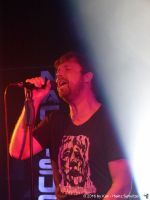 Nachtsucher (67)